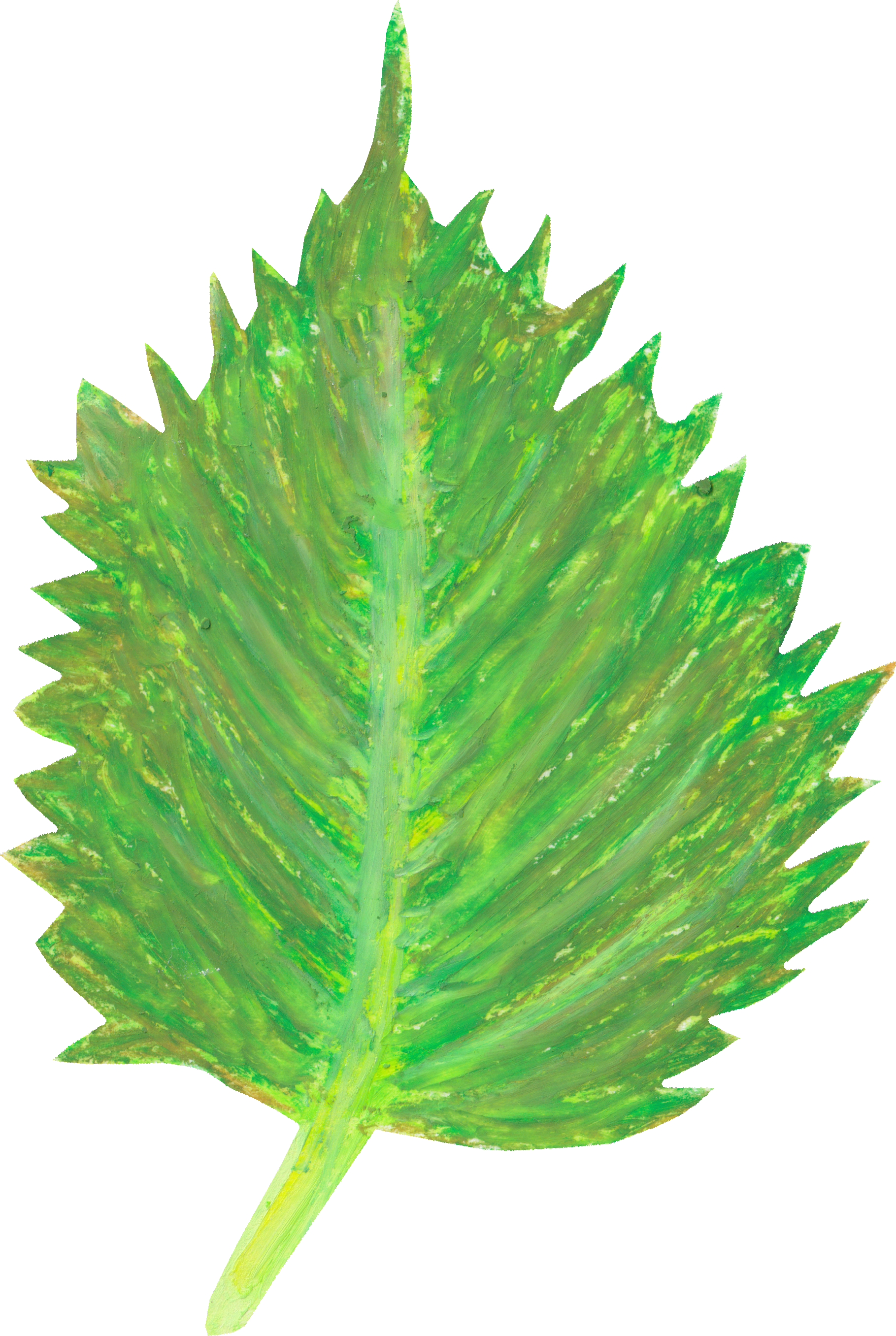 しそのイラスト｜商用可フリー画像・背景透過