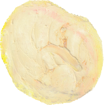 しょうがのイラスト｜商用可フリー画像・背景透過