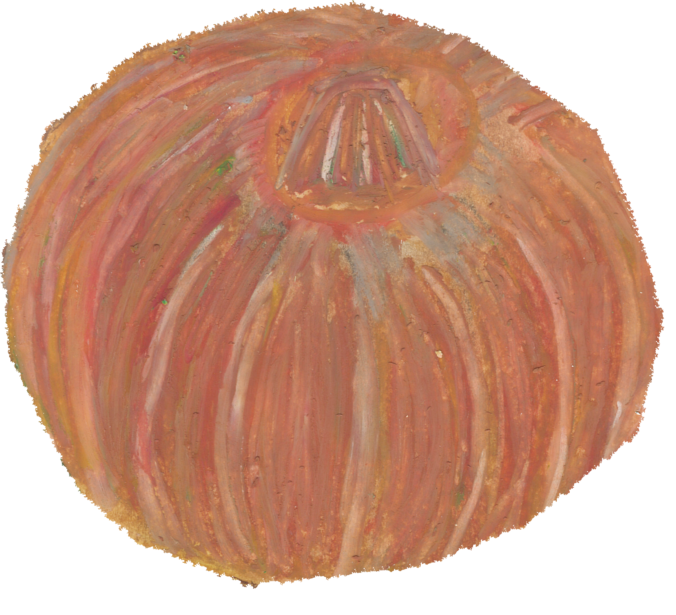 たまねぎのイラスト｜商用可フリー画像・背景透過