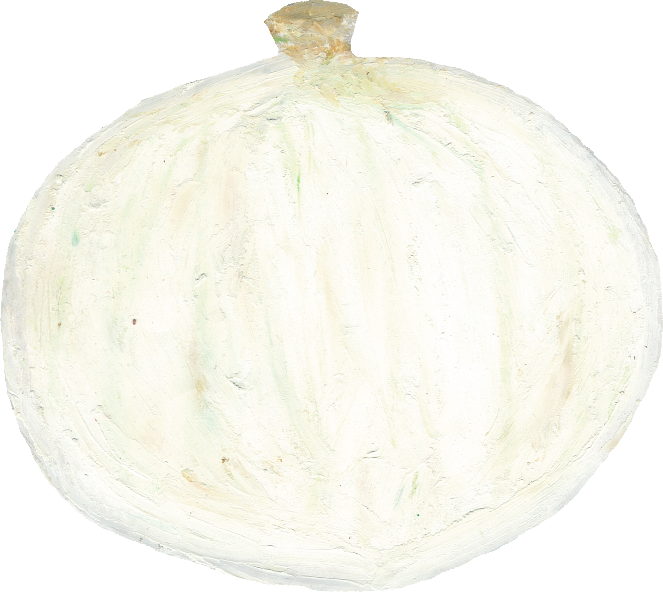 たまねぎのイラスト｜商用可フリー画像・背景透過