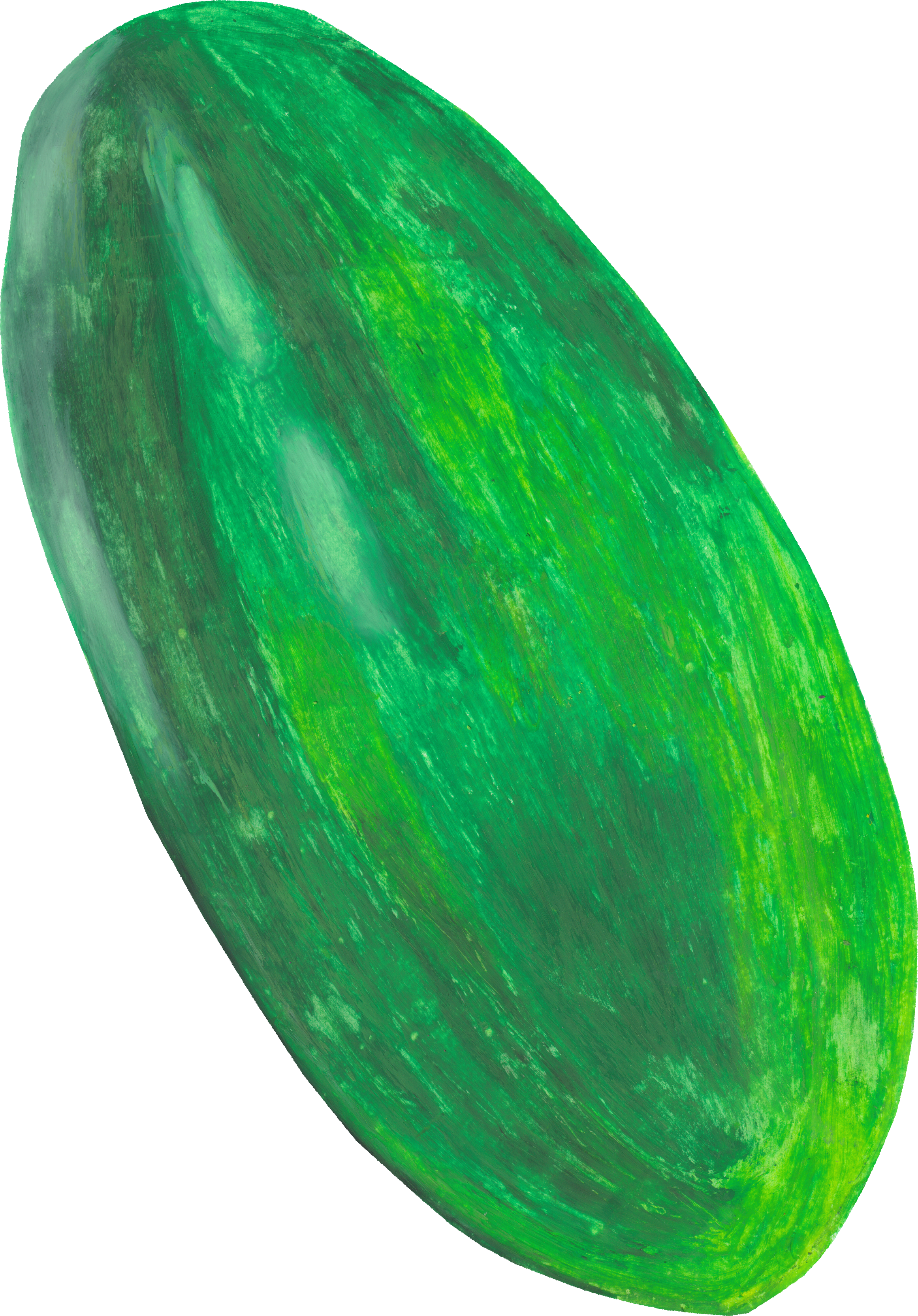 とうがんのイラスト｜商用可フリー画像・背景透過