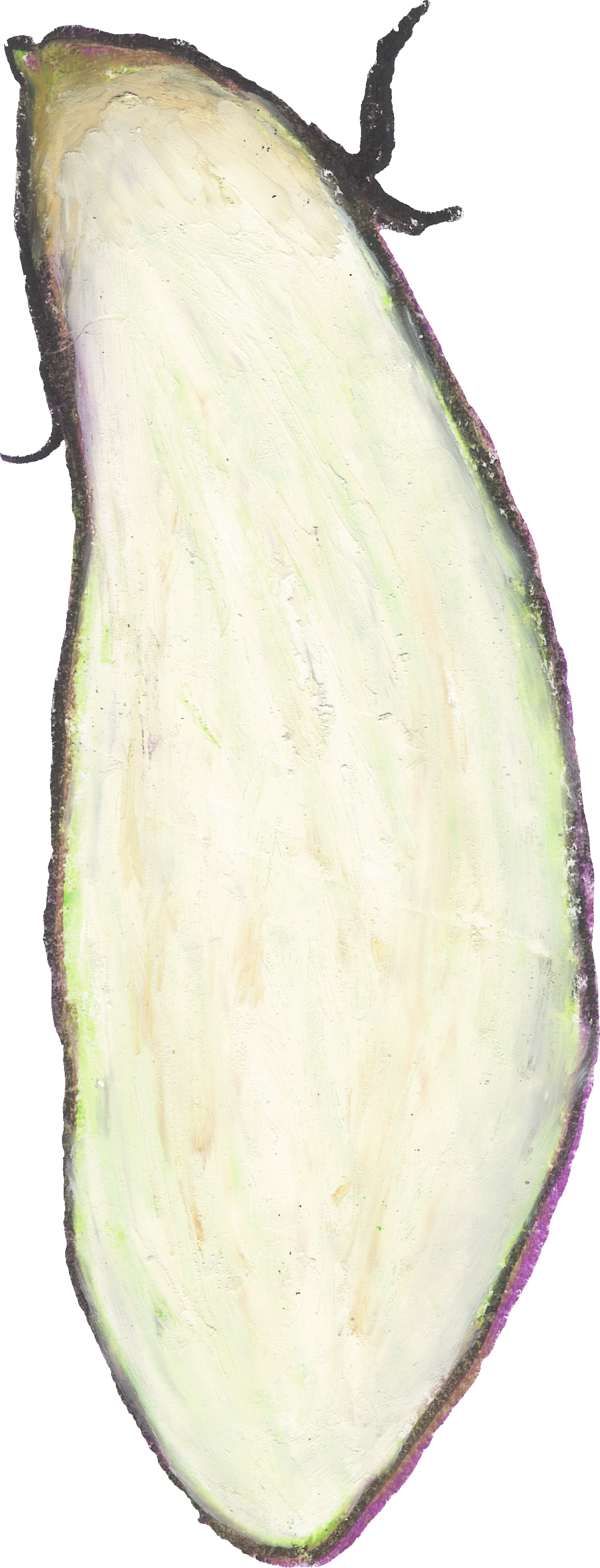 なすのイラスト｜商用可フリー画像・背景透過