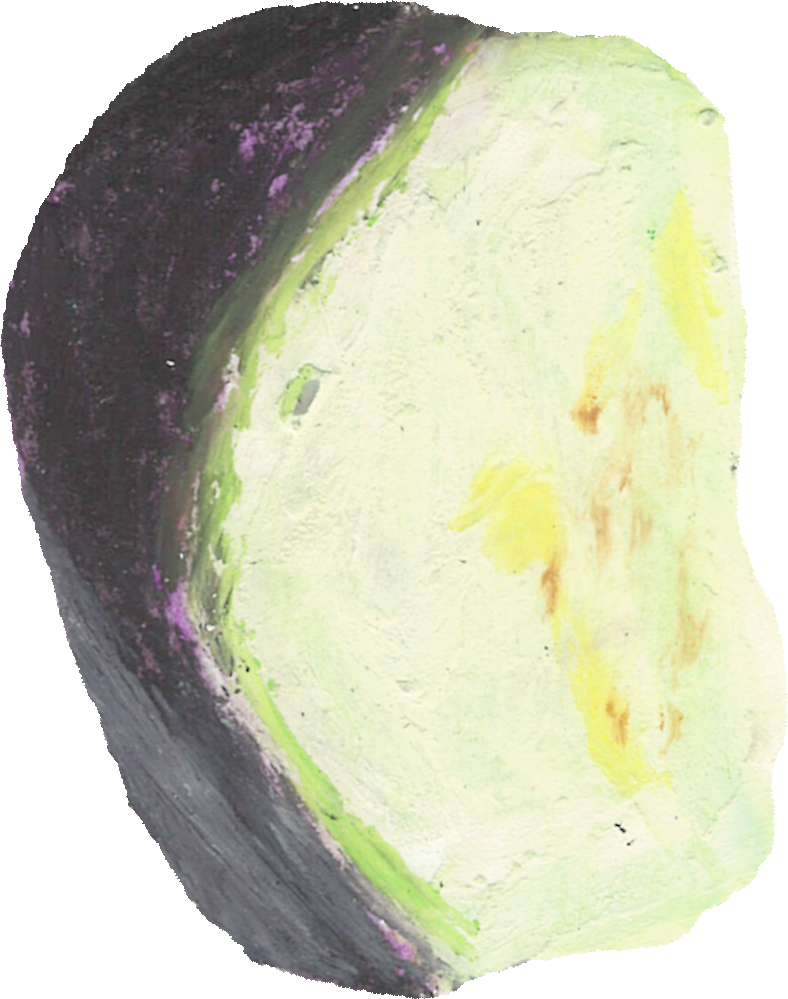 なすのイラスト｜商用可フリー画像・背景透過