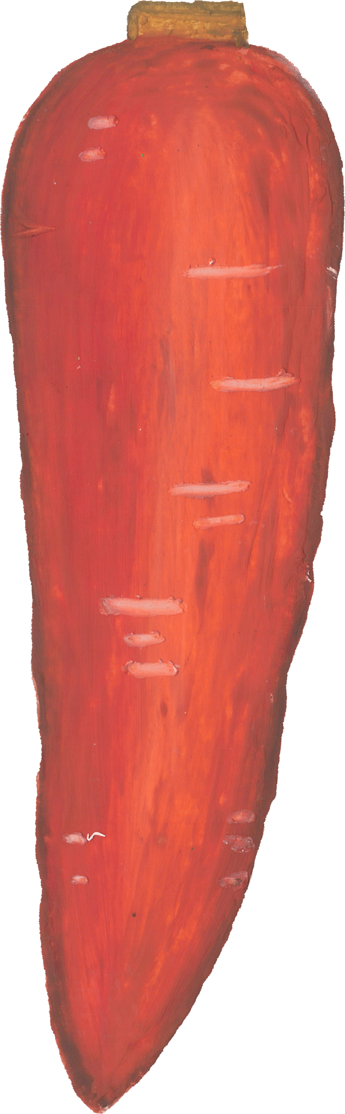 にんじんのイラスト｜商用可フリー画像・背景透過