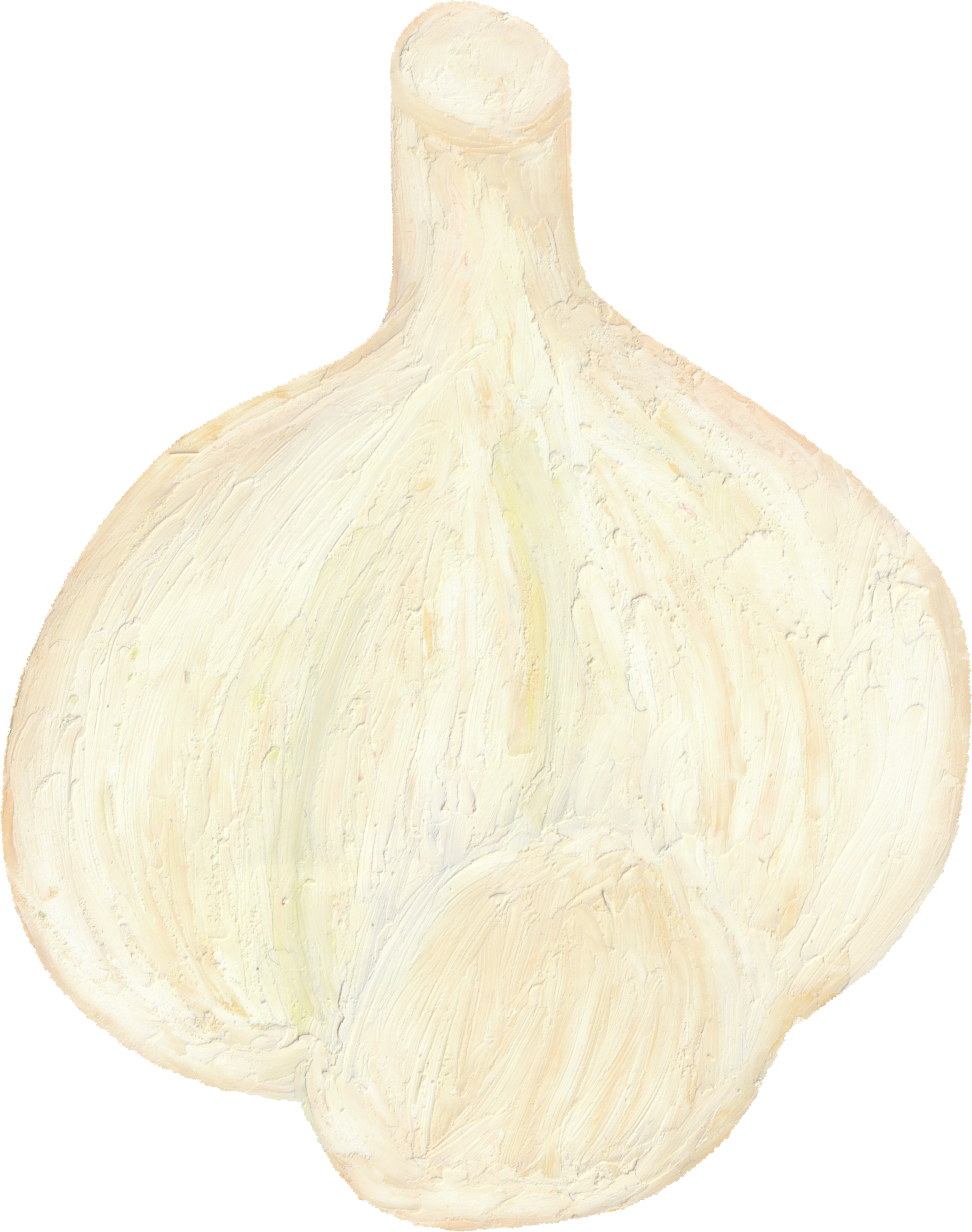 にんにくのイラスト｜商用可フリー画像・背景透過