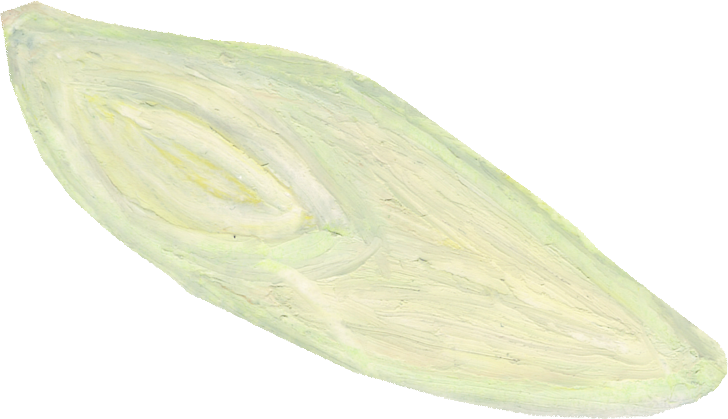 ねぎのイラスト｜商用可フリー画像・背景透過