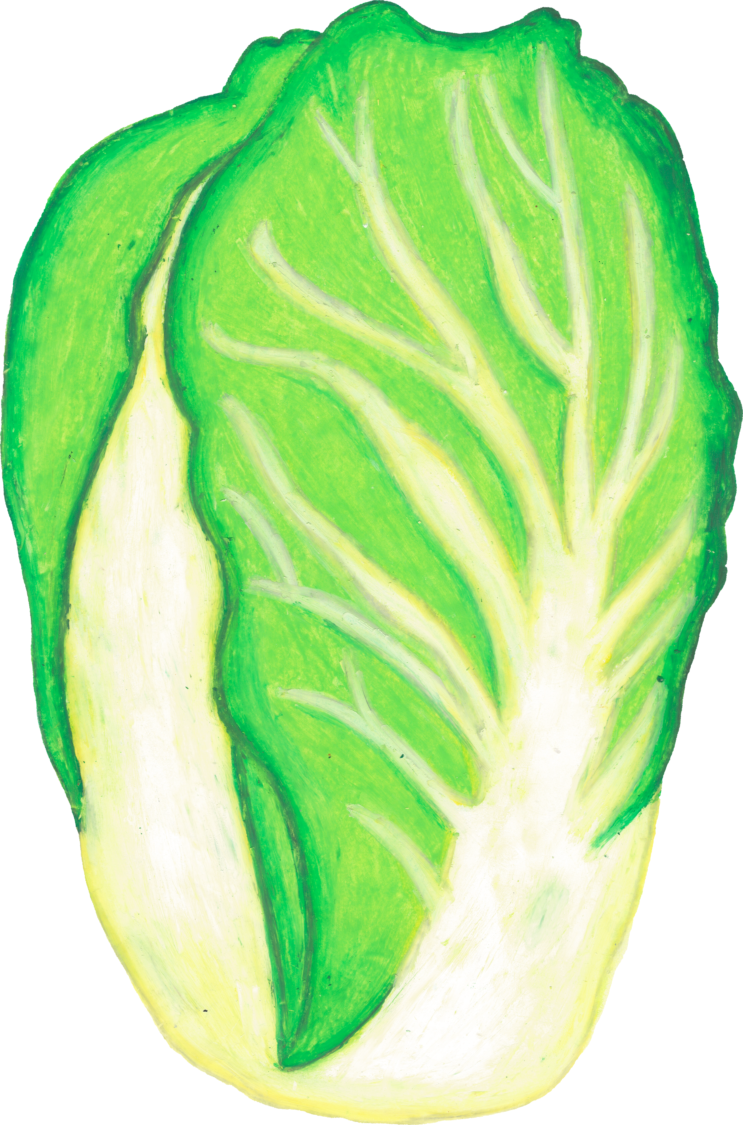 はくさいのイラスト｜商用可フリー画像・背景透過