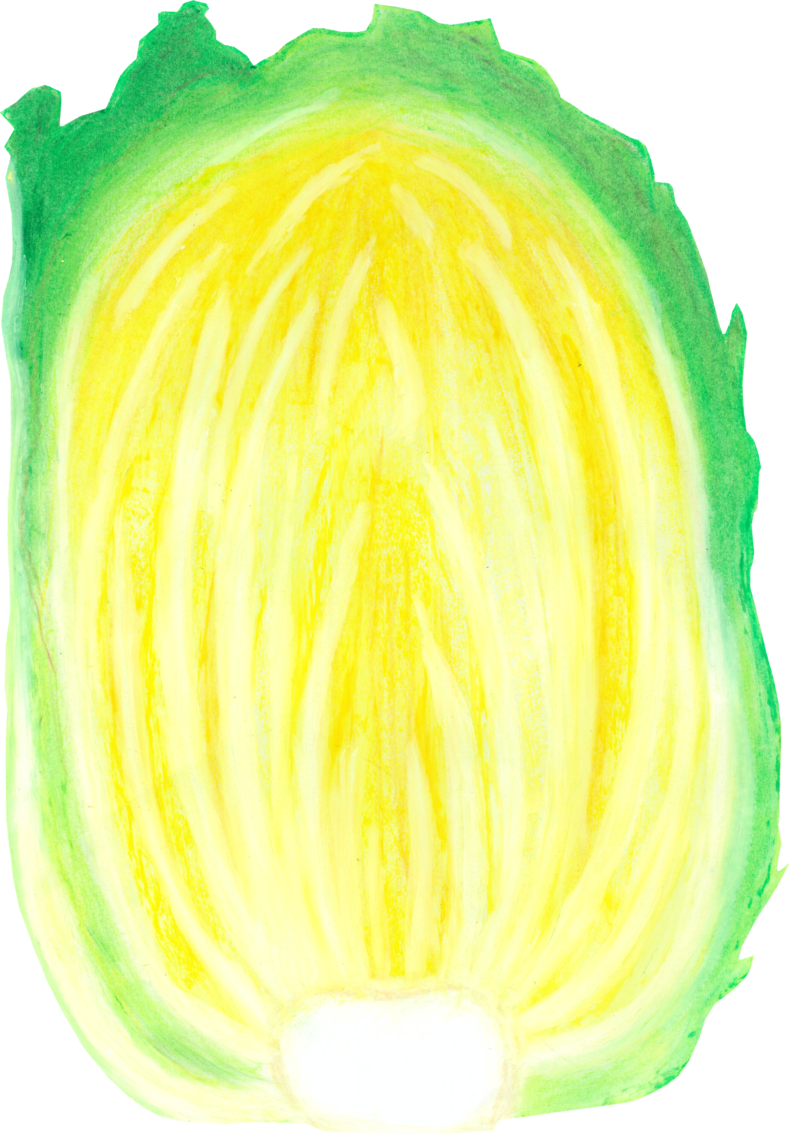 はくさいのイラスト｜商用可フリー画像・背景透過