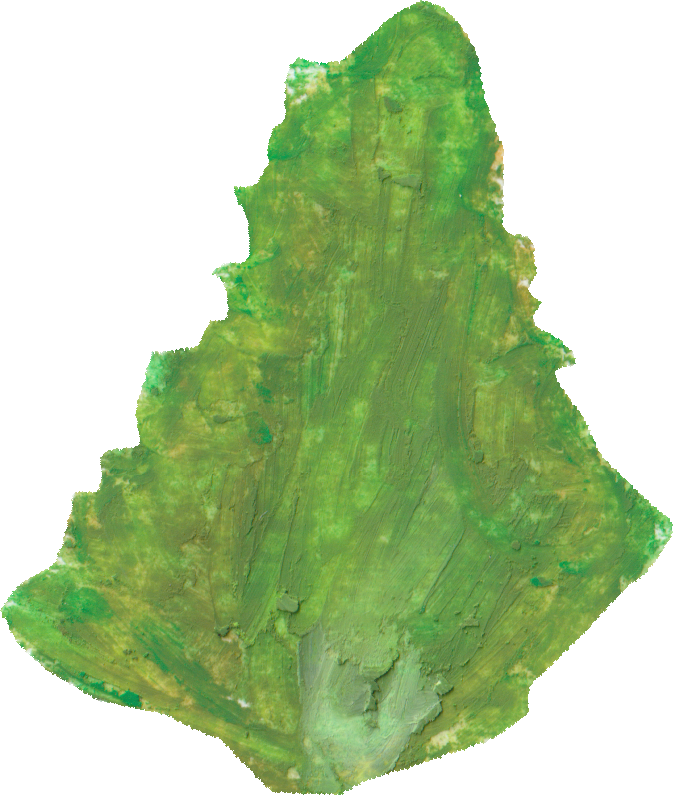 みつばのイラスト｜商用可フリー画像・背景透過