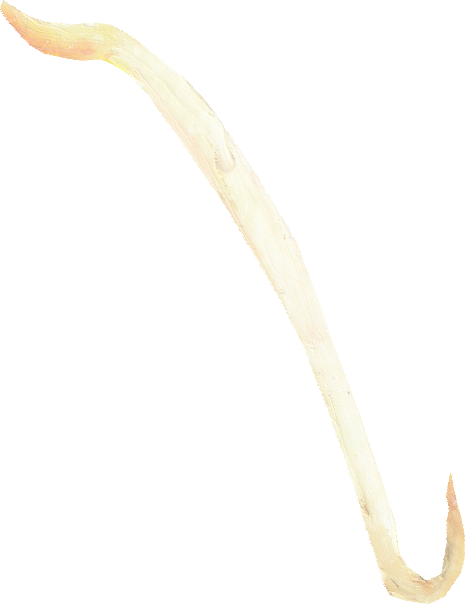 もやしのイラスト｜商用可フリー画像・背景透過