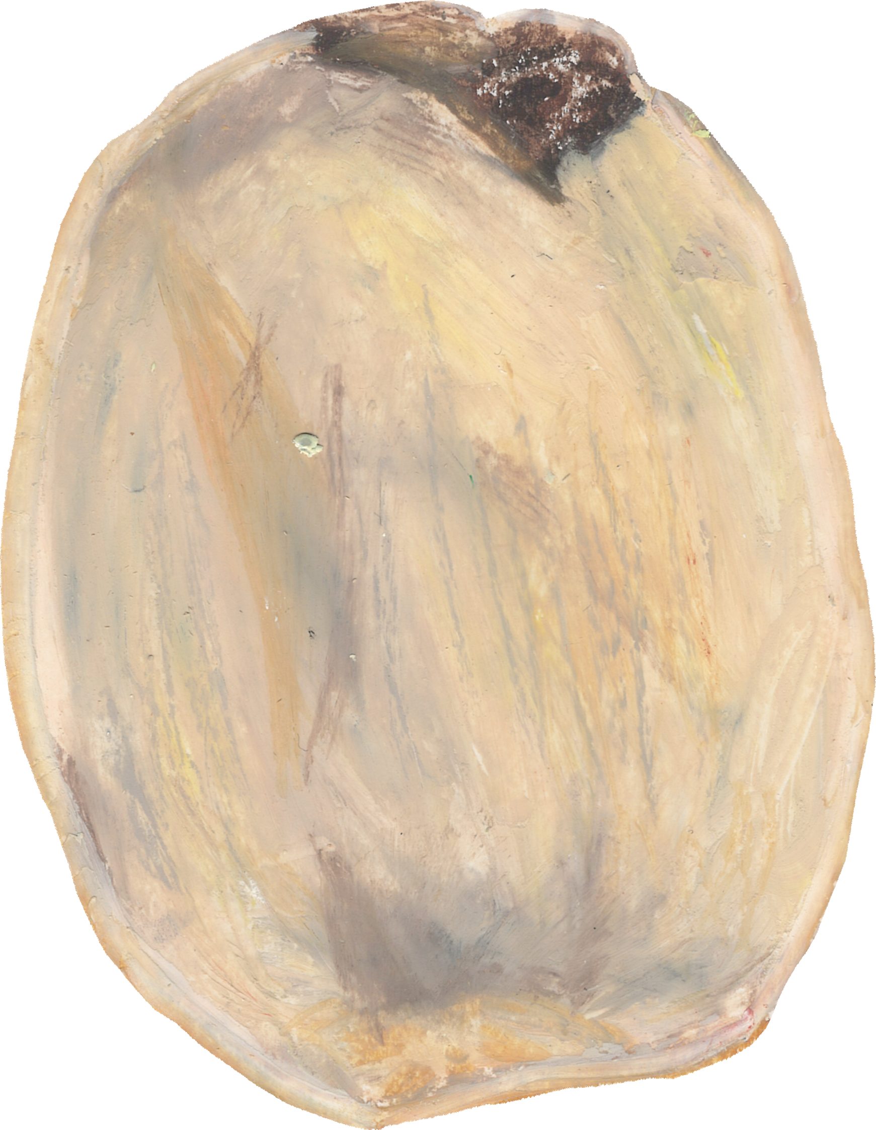 れんこんのイラスト｜商用可フリー画像・背景透過