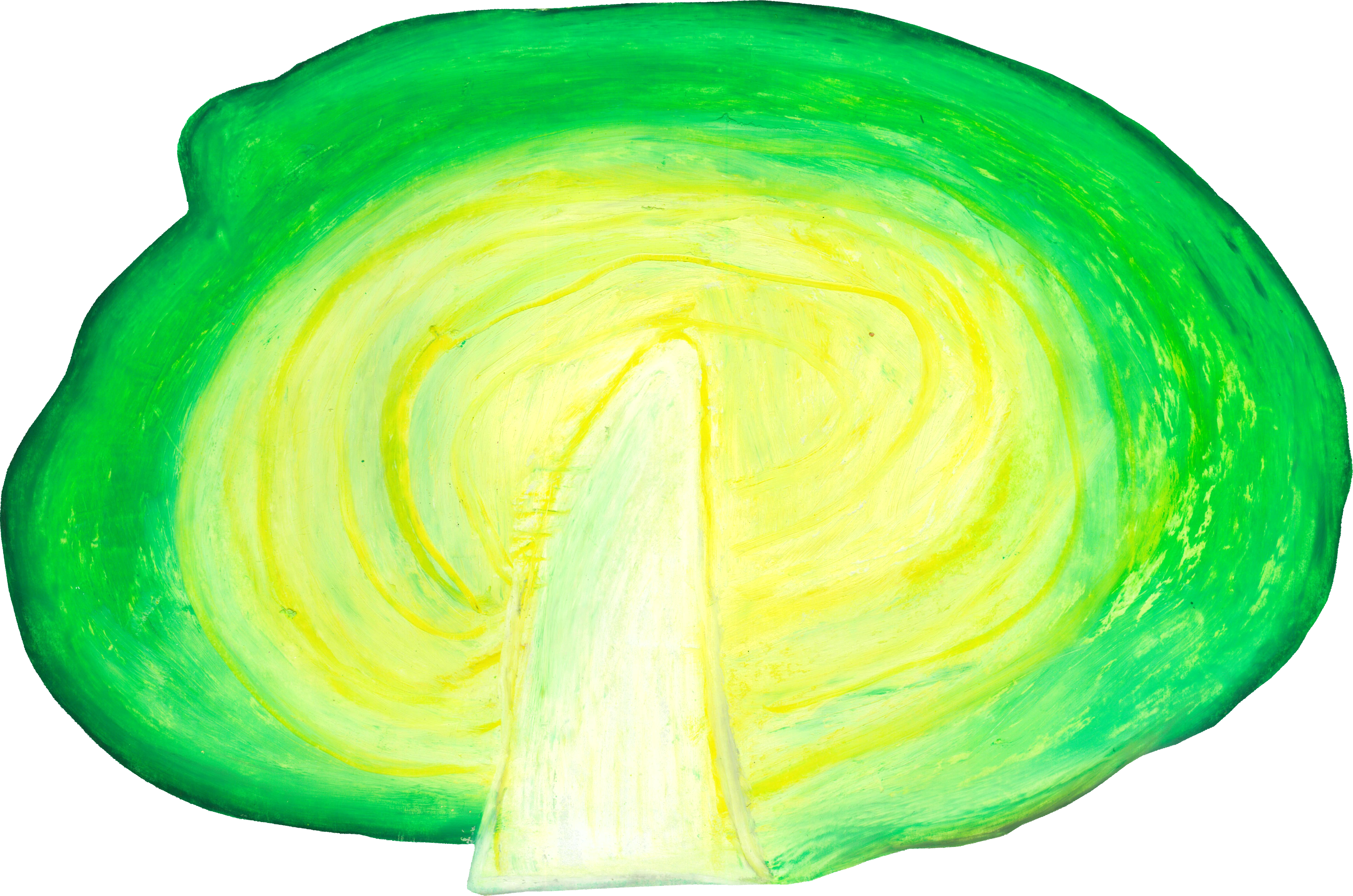 キャベツのイラスト｜商用可フリー画像・背景透過