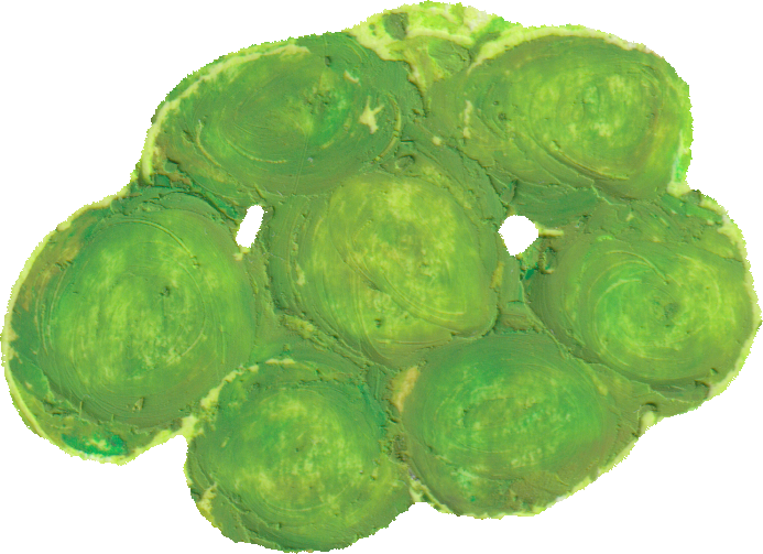 グリンピースのイラスト｜商用可フリー画像・背景透過