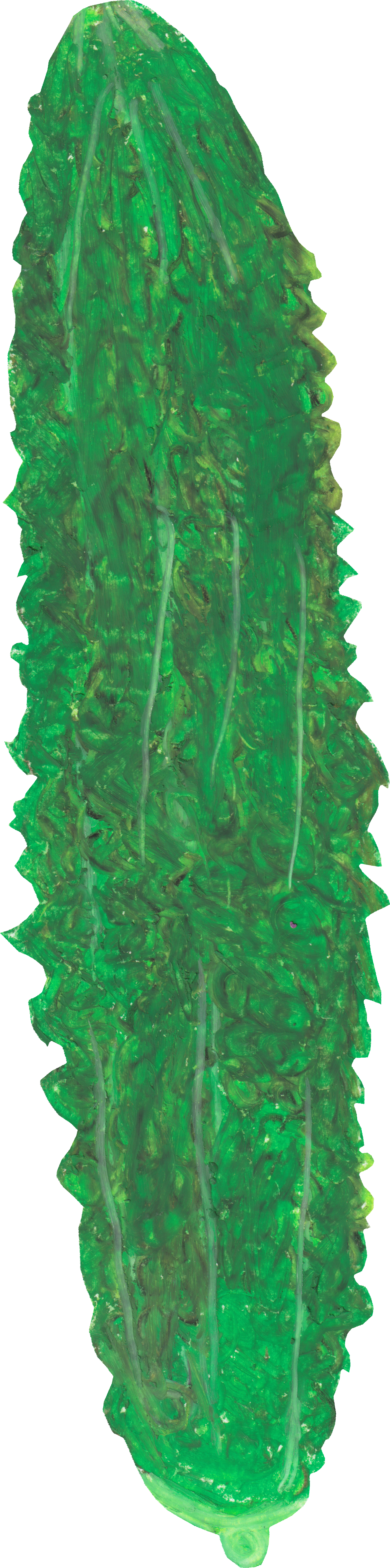 ゴーヤのイラスト｜商用可フリー画像・背景透過