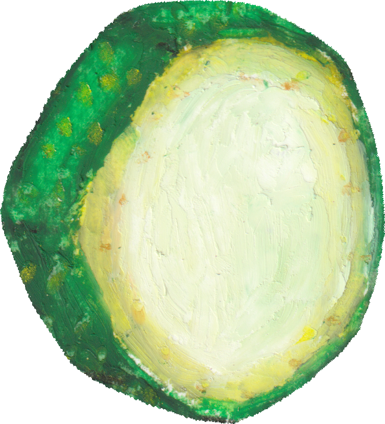 ズッキーニのイラスト｜商用可フリー画像・背景透過