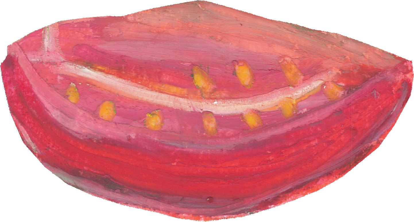 トマトのイラスト｜商用可フリー画像・背景透過