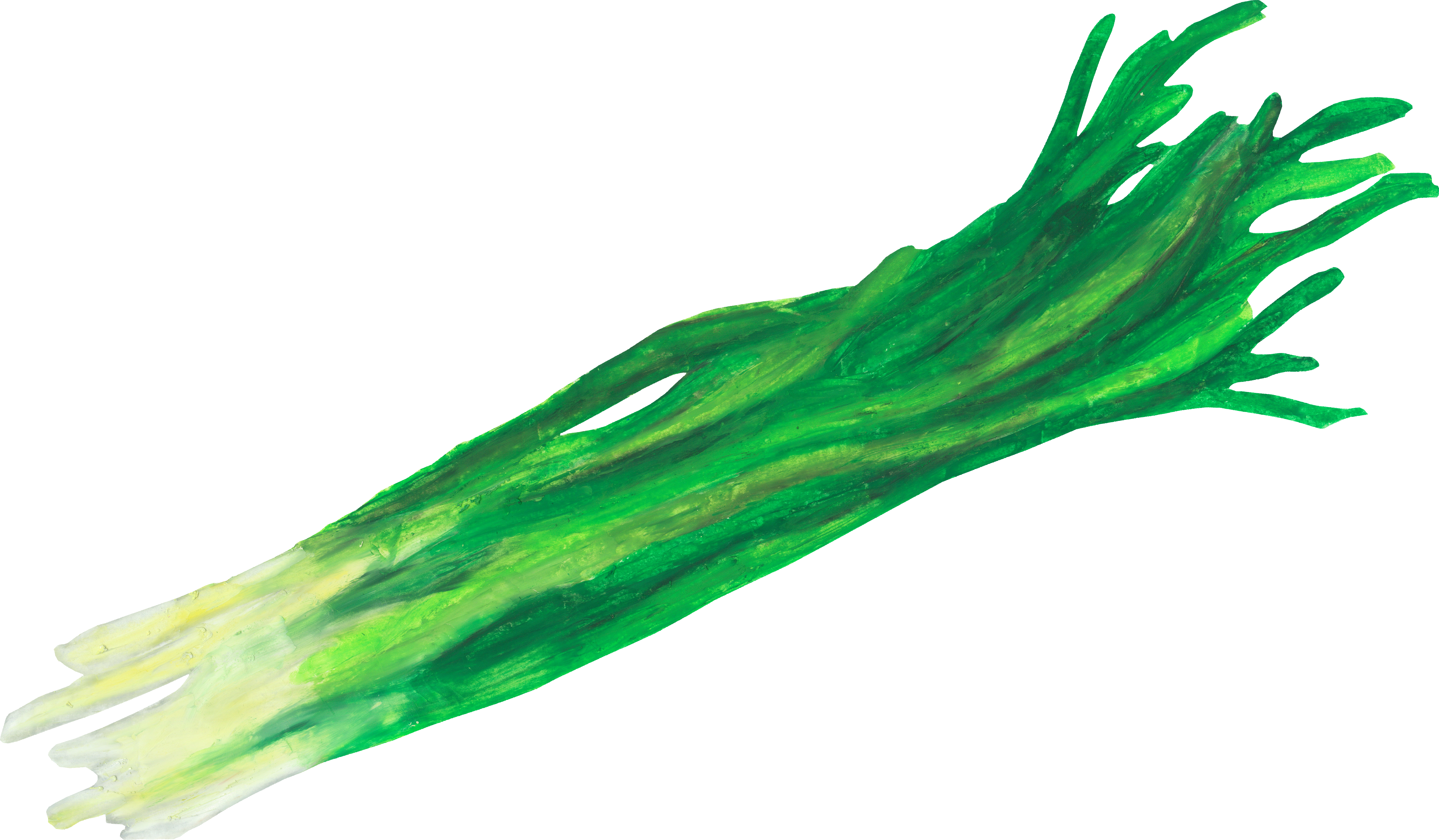 にらのイラスト｜商用可フリー画像・背景透過