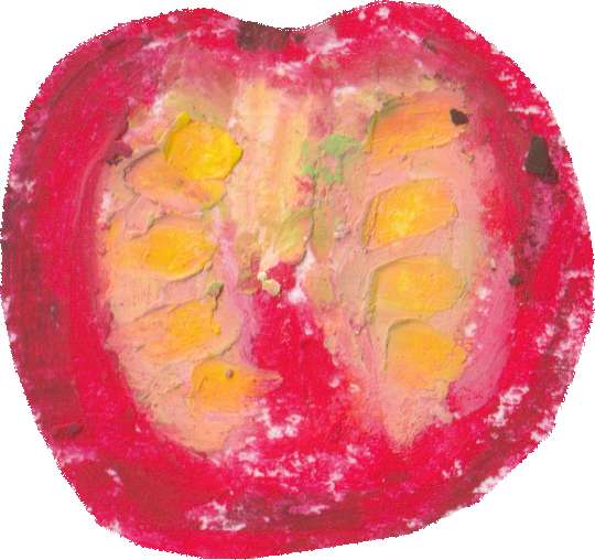 ミニトマトのイラスト｜商用可フリー画像・背景透過