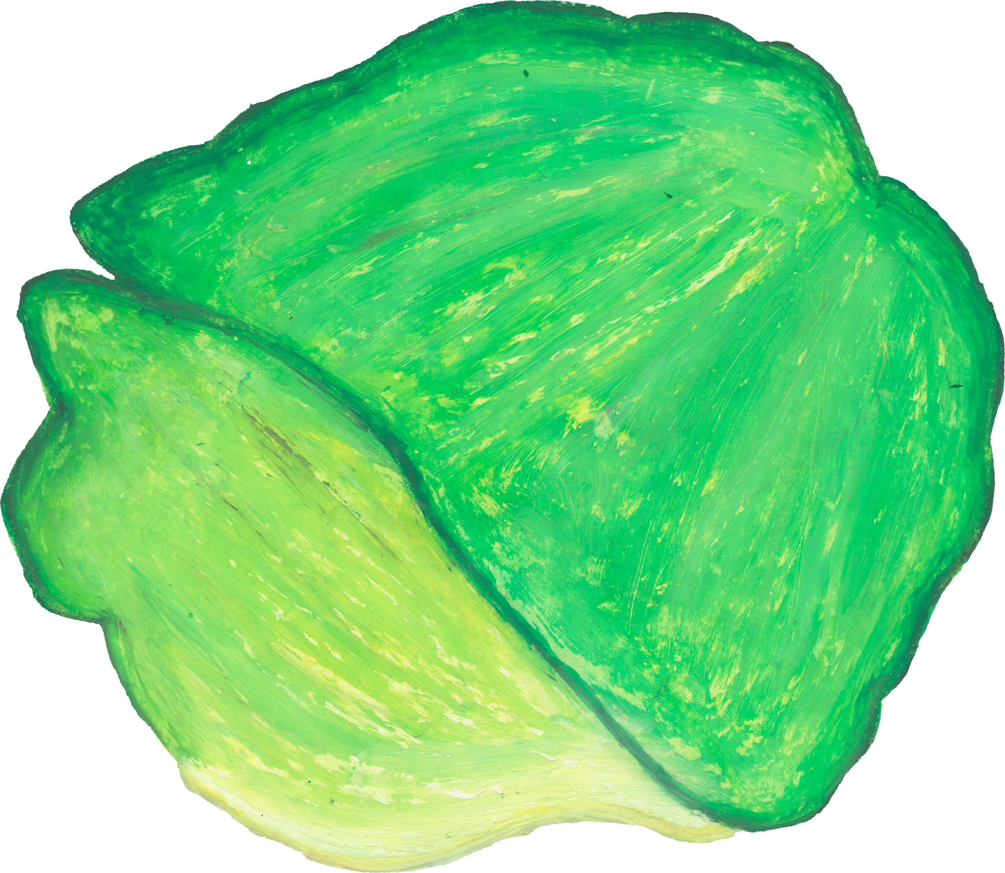 レタスのイラスト｜商用可フリー画像・背景透過