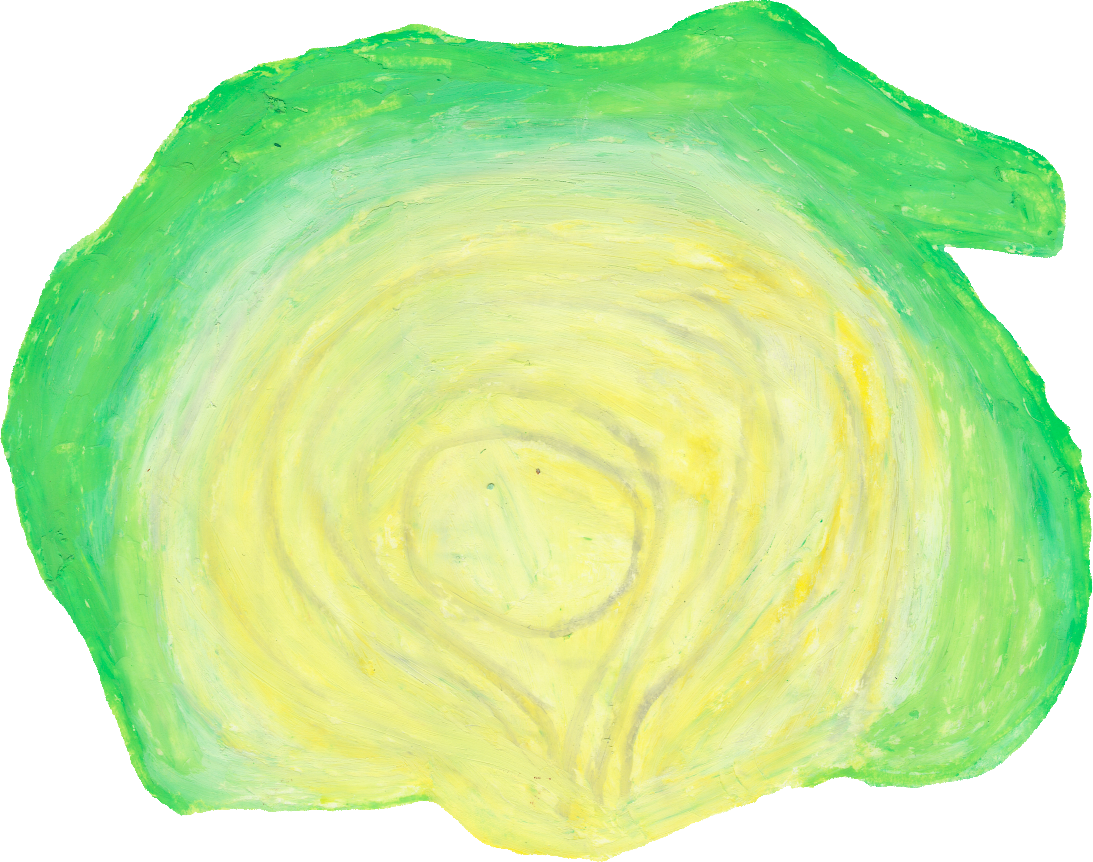 レタスのイラスト｜商用可フリー画像・背景透過