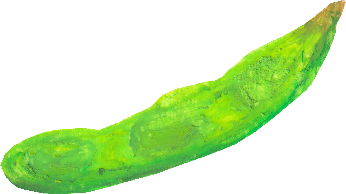 枝豆のイラスト｜商用可フリー画像・背景透過