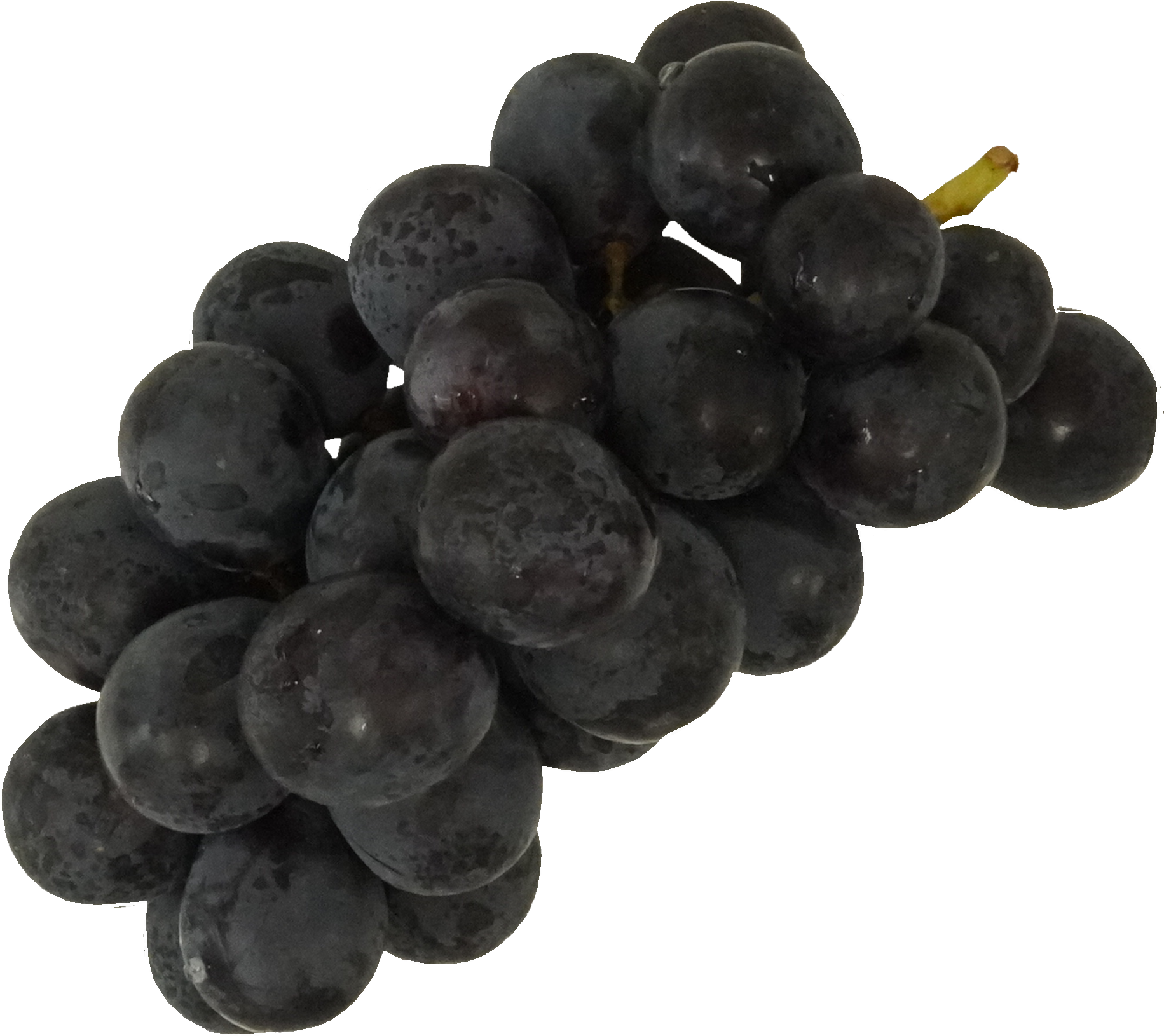 ぶどう（巨峰）｜商用可フリー画像・背景透過