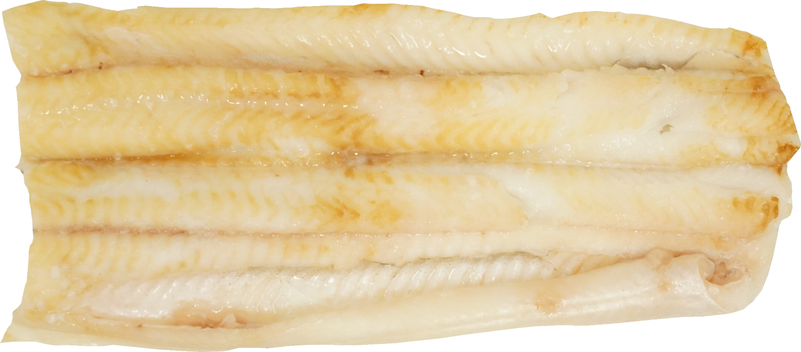 あなごの白焼き｜商用可フリー画像・背景透過