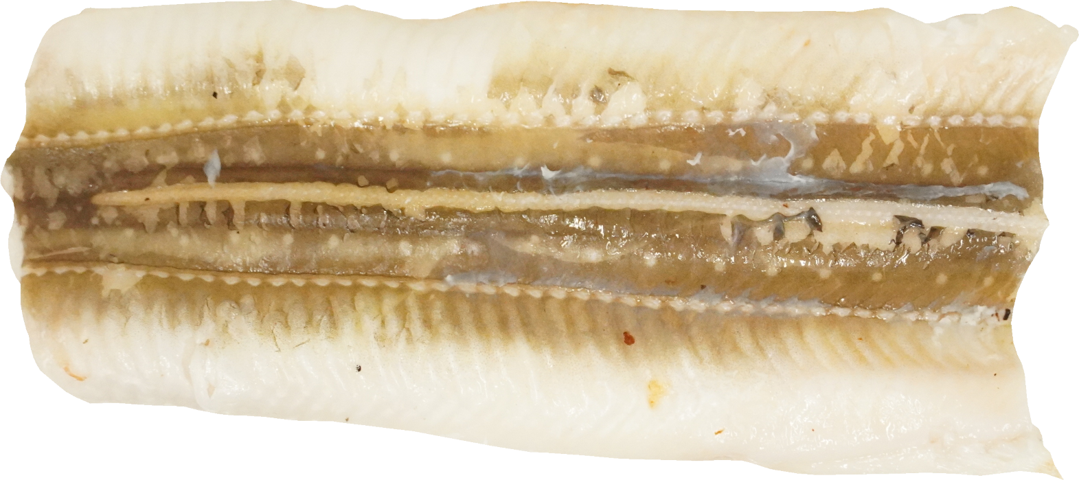 あなごの白焼き｜商用可フリー画像・背景透過