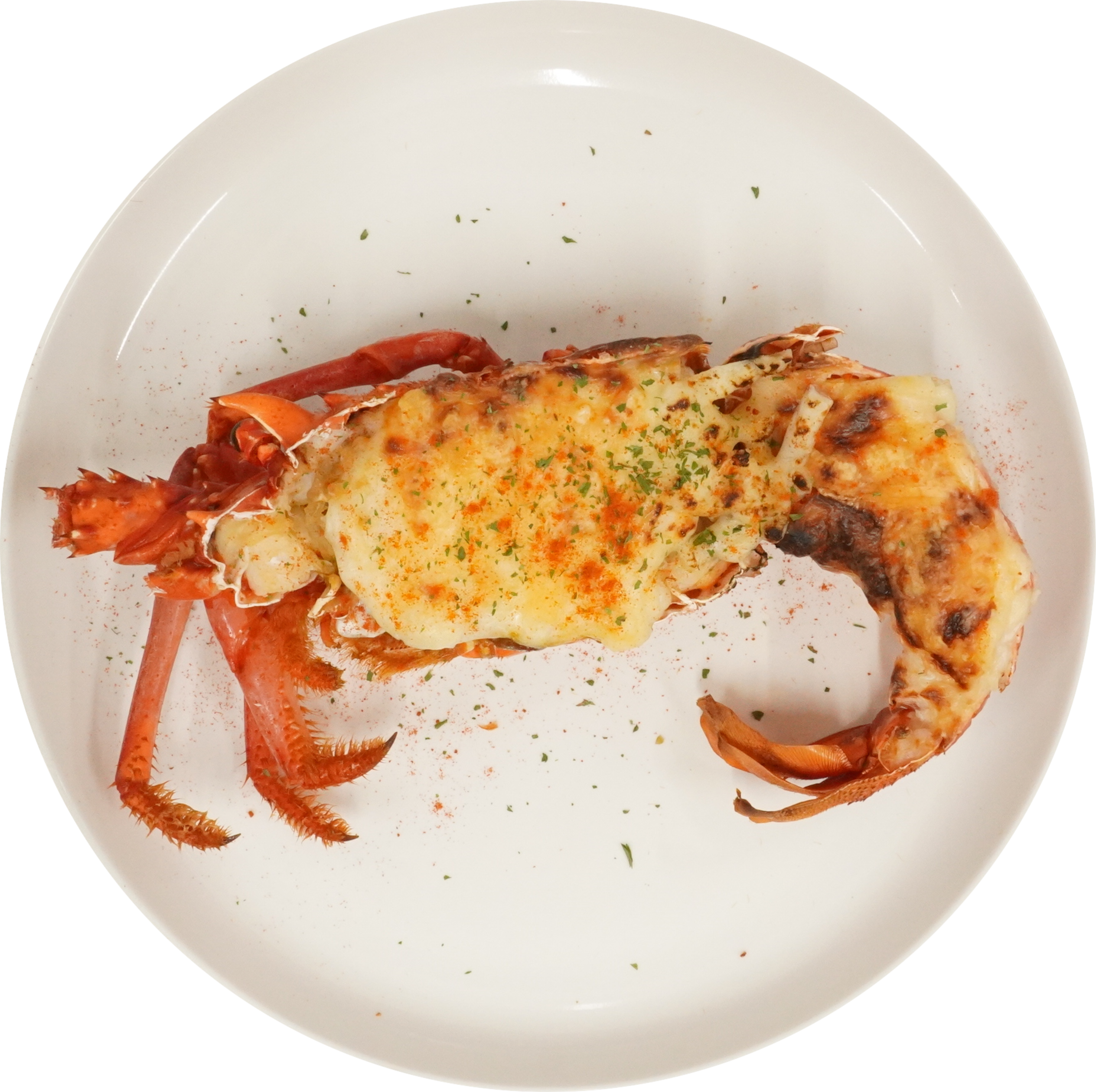 いせえびのグラタン｜商用可フリー画像・背景透過