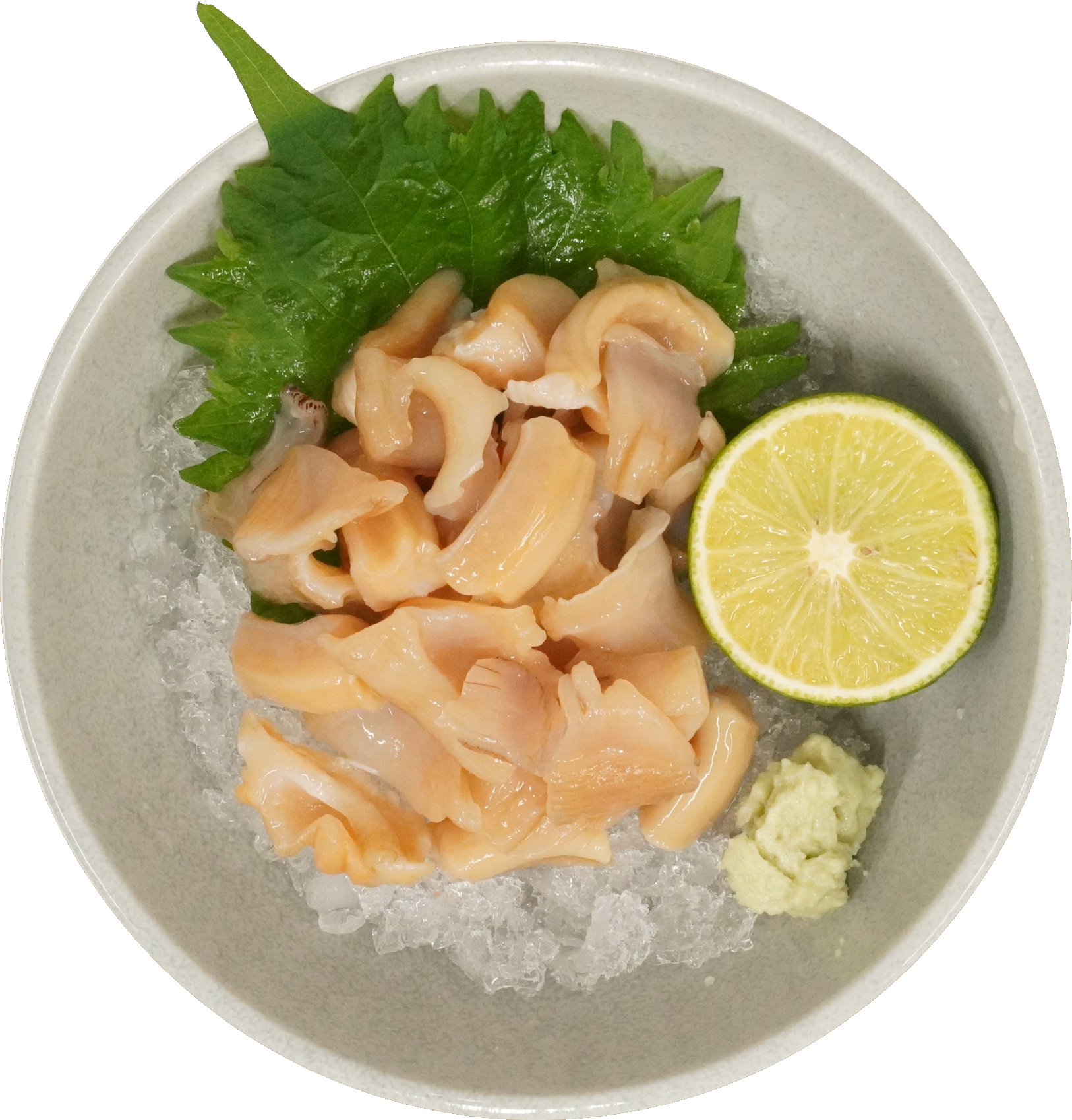 白ミル貝の刺身｜商用可フリー画像・背景透過