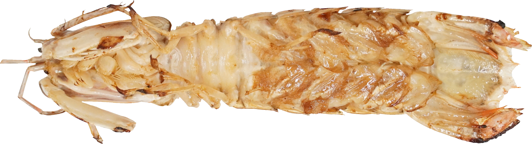 しゃこ(焼き)｜商用可フリー画像・背景透過