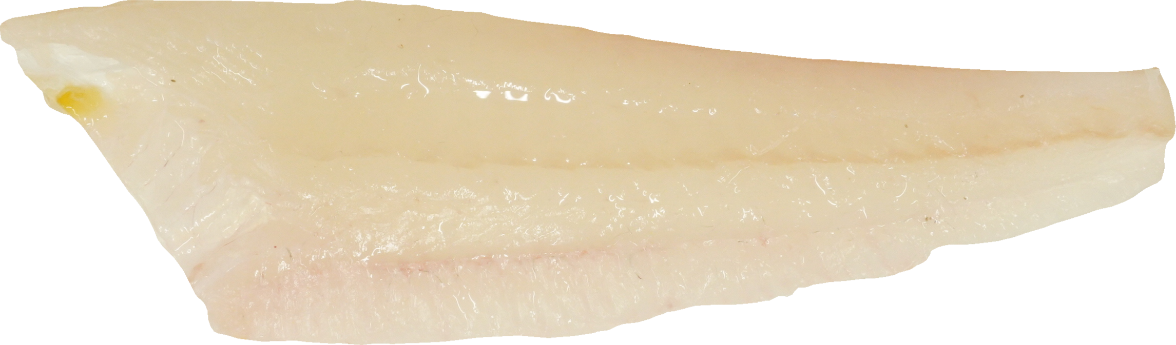 ひらめ｜商用可フリー画像・背景透過