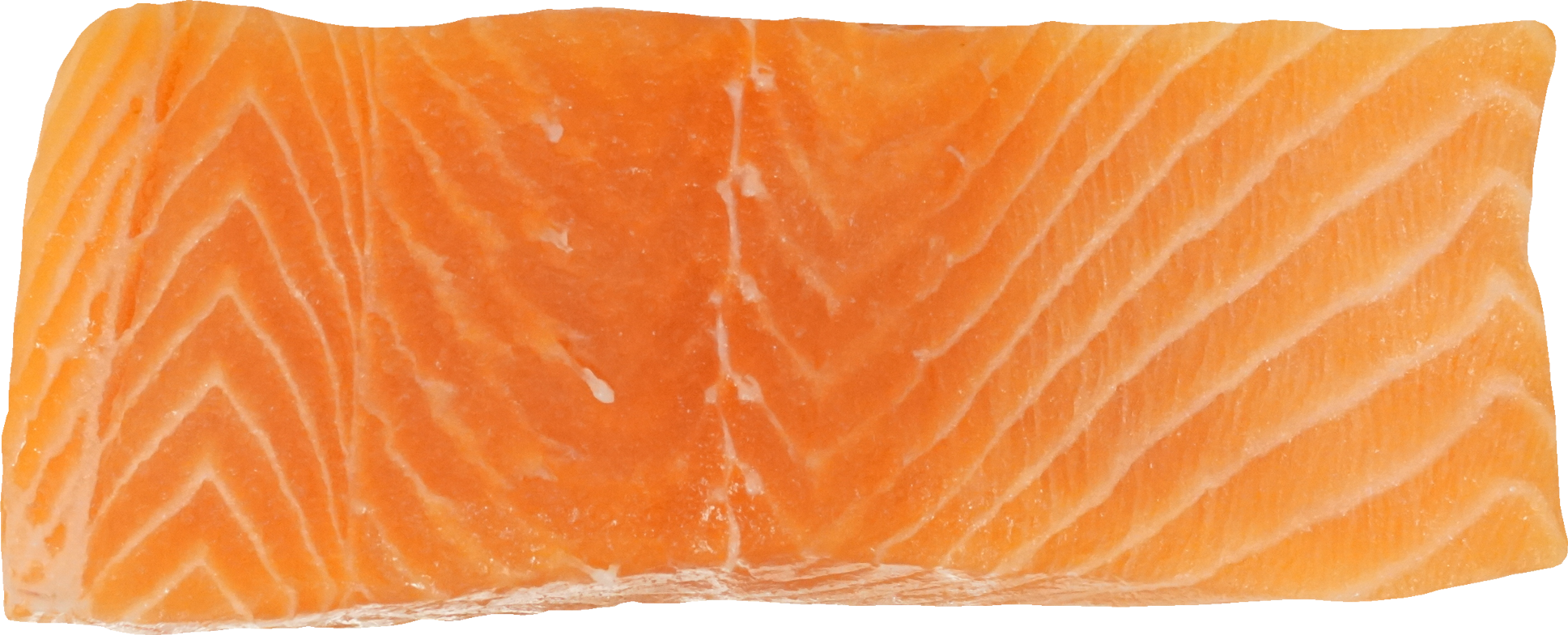 さけ・ます（サーモン）｜商用可フリー画像・背景透過