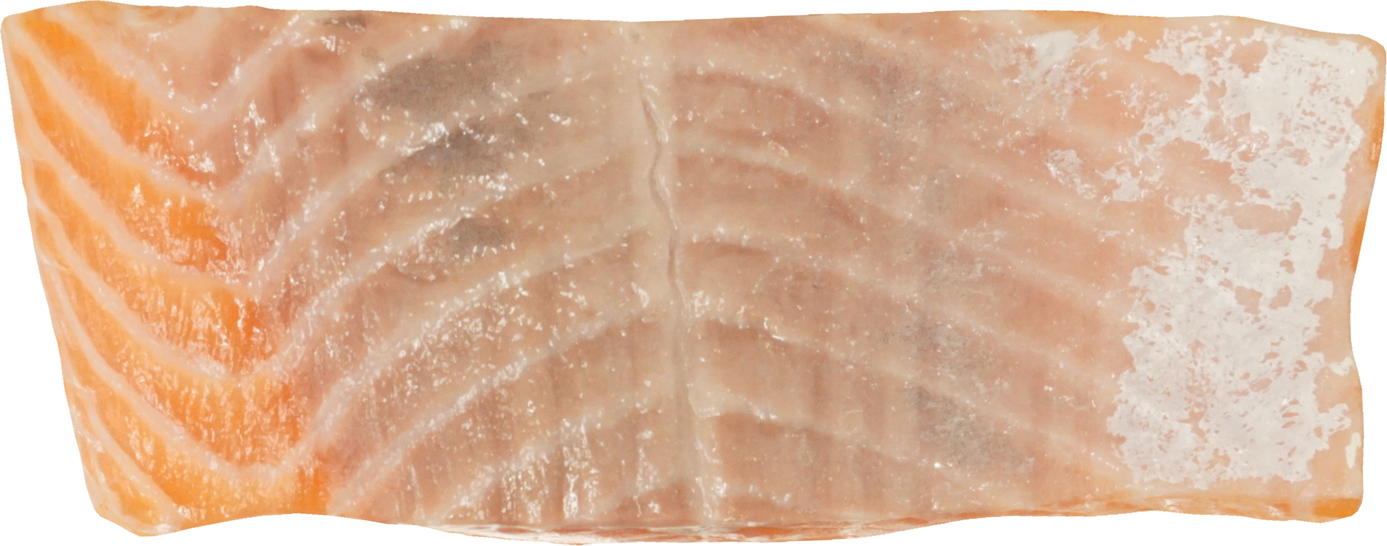 さけ・ます（サーモン）｜商用可フリー画像・背景透過