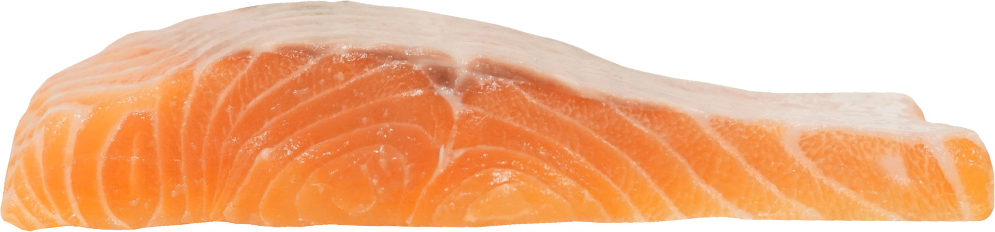 さけ・ます（サーモン）｜商用可フリー画像・背景透過