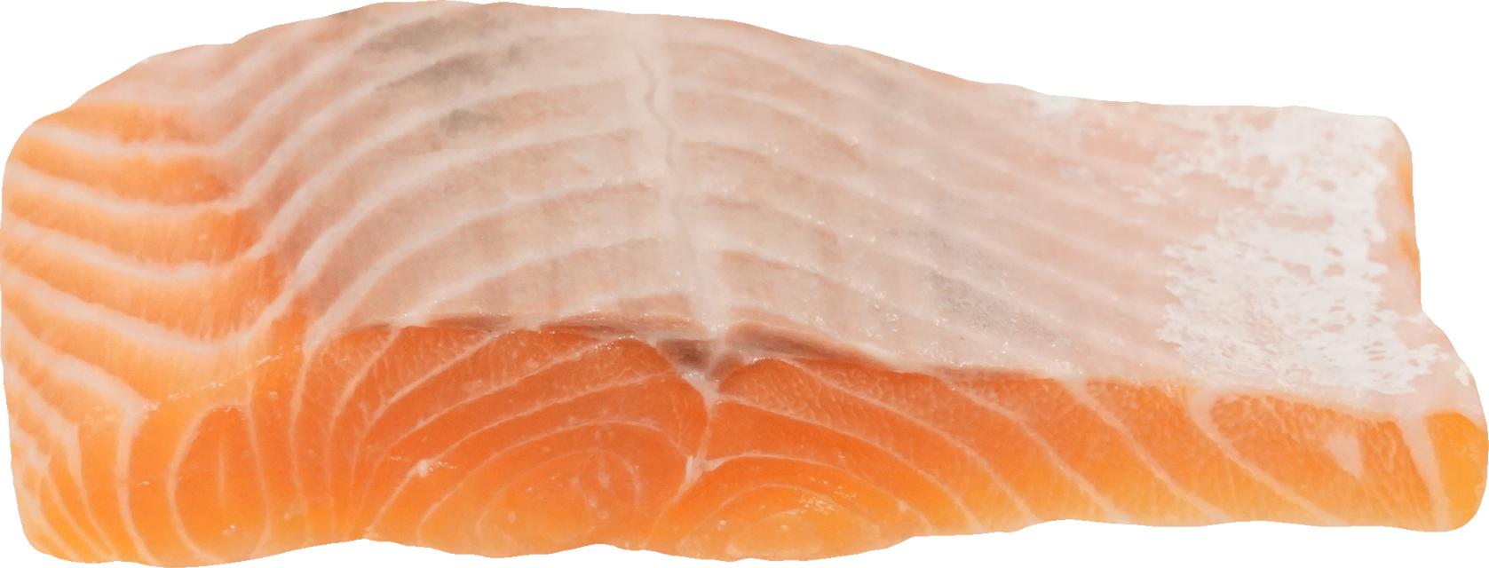 さけ・ます（サーモン）｜商用可フリー画像・背景透過