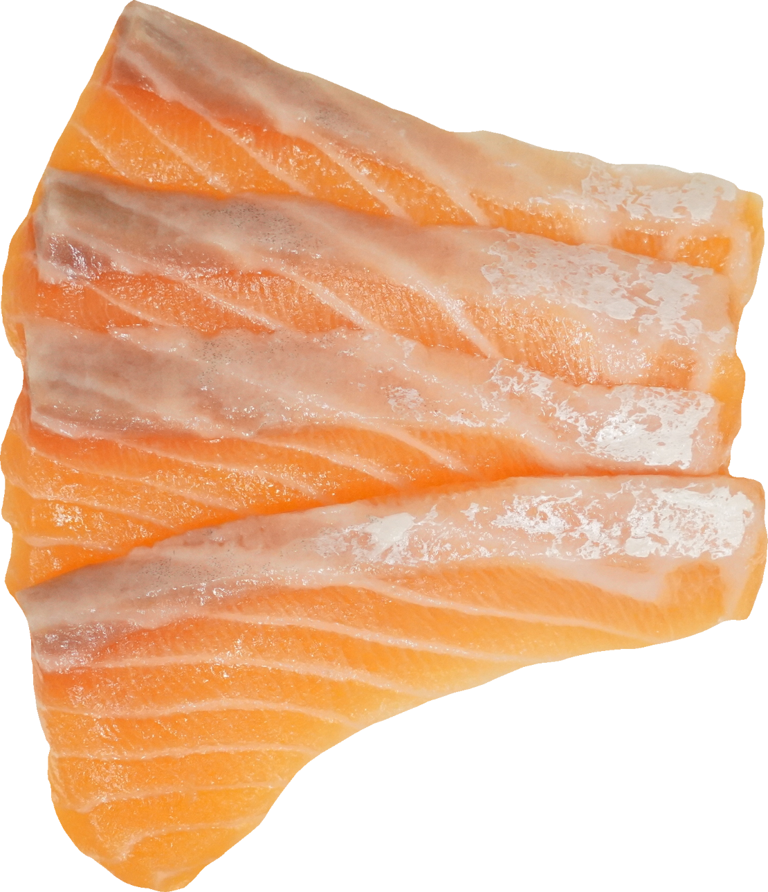 さけ・ます（サーモン）｜商用可フリー画像・背景透過